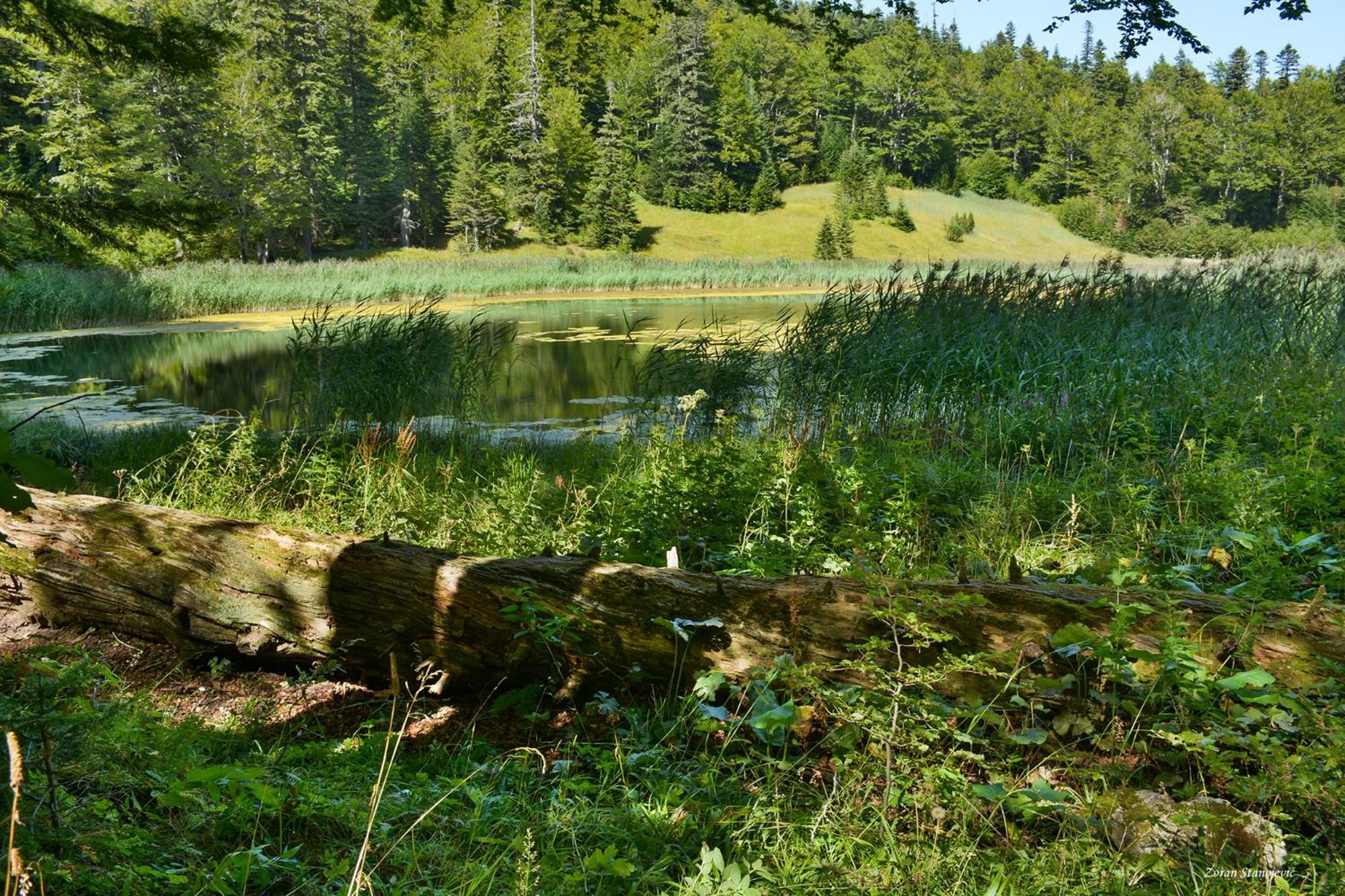 Camp Divlja Rijeka Hotell Hum Exteriör bild