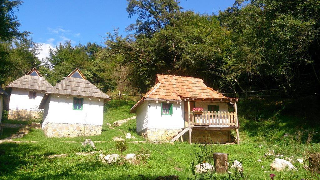 Camp Divlja Rijeka Hotell Hum Exteriör bild
